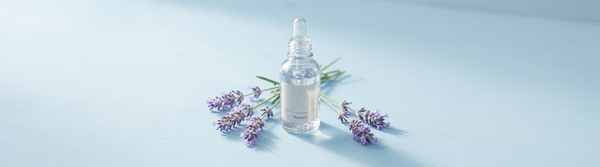Lavender Hydrosol