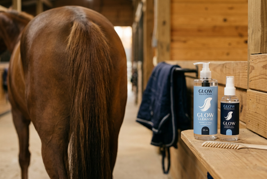 Best Silicone Free Hair Treatment for Horses