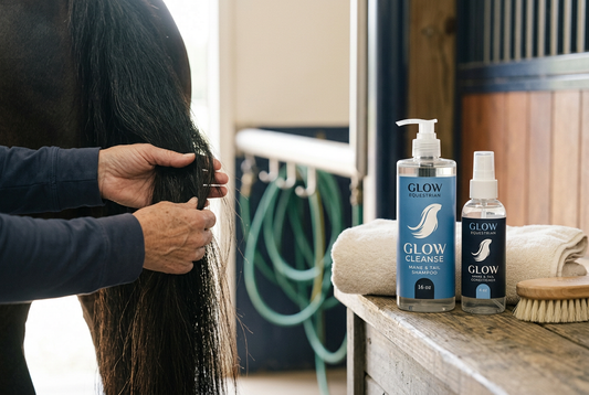 Why Silicone-Free Hair Products Matter for Horses