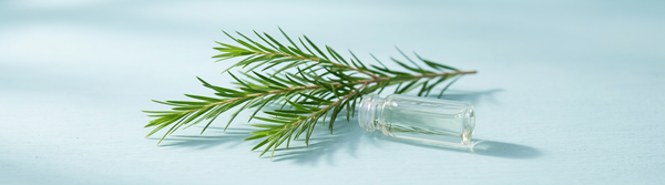 Tea Tree